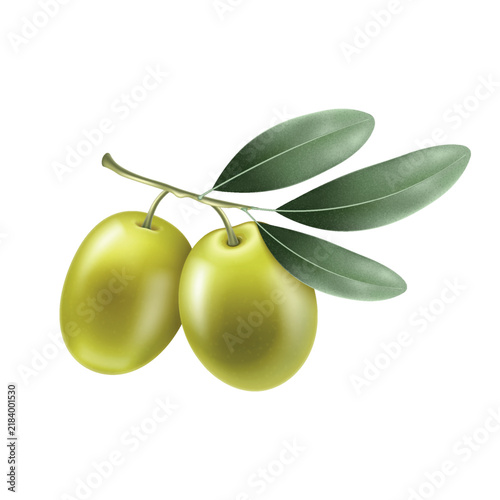 Two ripe olives hang from a slender branch isolated, Realistic vector 3d icon