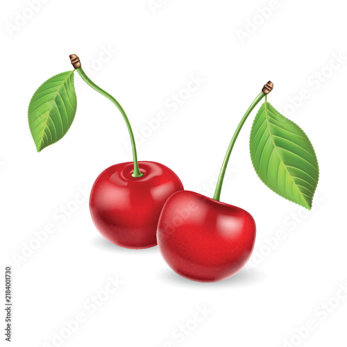 Realistic Red Cherry with Long Curved Stems and Green Leaves Isolated on White Background