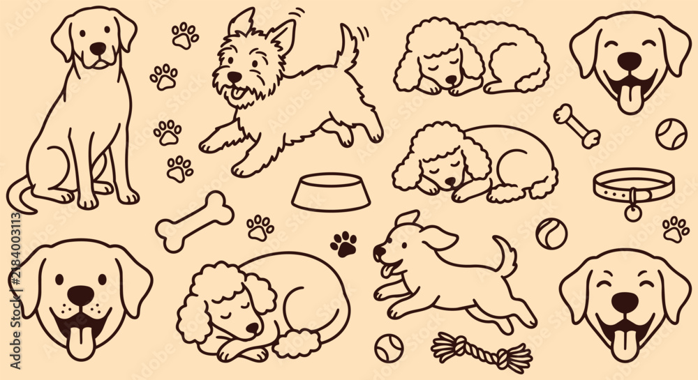 Obraz premium Dog breed vector doodle collection with golden retriever terrier and poodle in sitting running sleeping and playing poses with bone ball and paw print line art elements