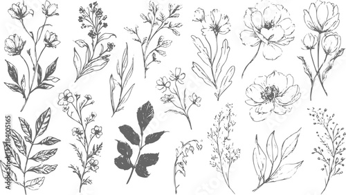 Floral Seamless Background, Repeating Flowers and Leaves with Organic Design.