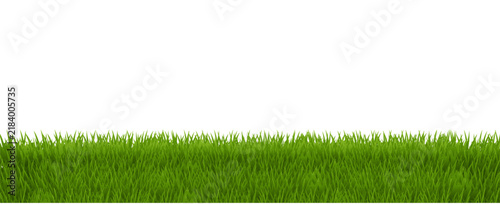 Green Grass Border Isolated White