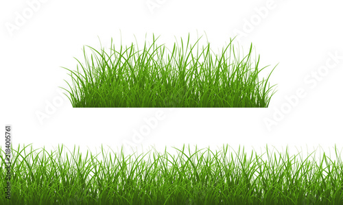 Green Grass Border Isolated White Background