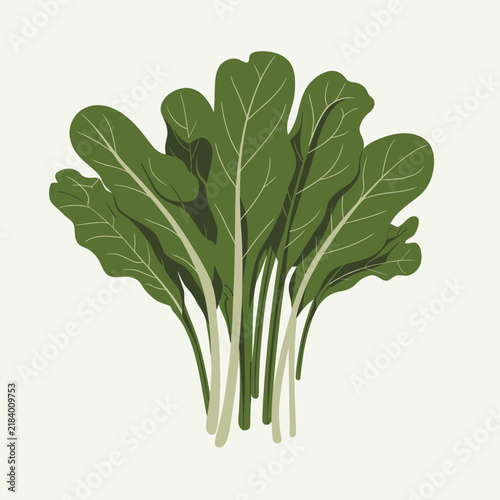 Leafy greens vegetable bunch in flat vector style, fresh nutritious garden produce with lush foliage isolated on neutral background.