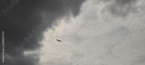 Photography airplane in the sky