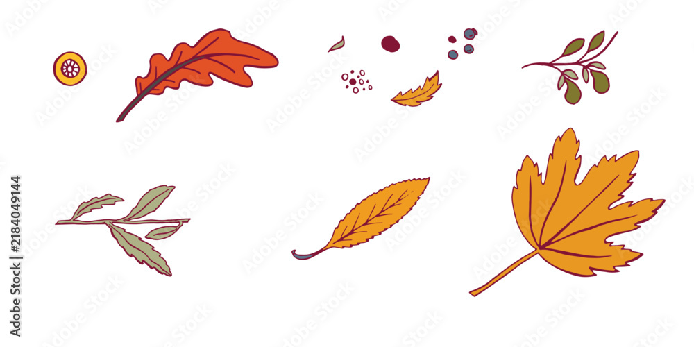 Obraz premium eps Botany orange slate blue, soft mauve, mustard yellow, sage green, leavs and branches. Beautiful hand drawn design template. Botanical set no background