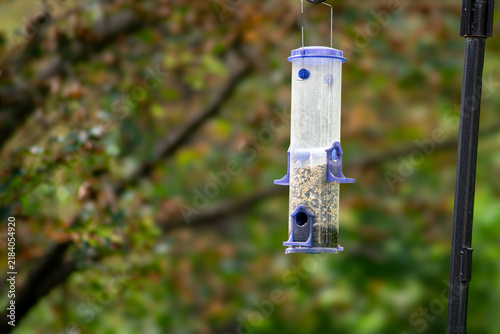 Фотография A Backyard Bird Feeder could use a refill