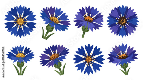 Collection of Blue Cornflower Illustrations Isolated on Transparent Background