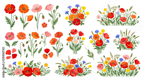 Collection of Colorful Poppy and Wildflower Illustrations on Transparent Background