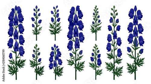 Collection of Dark Blue Aconitum Flowers on Transparent Background
