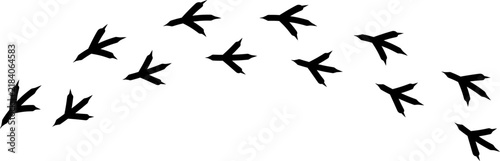Bird footprint icon, chicken paw vector track, turkey foot print line pattern