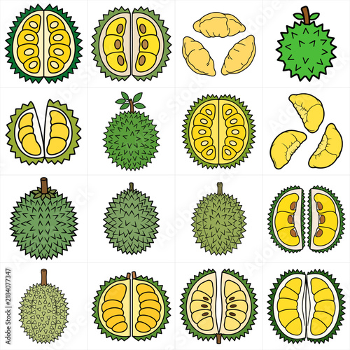 Vector Durian Fruit Icons Set For Food Designs