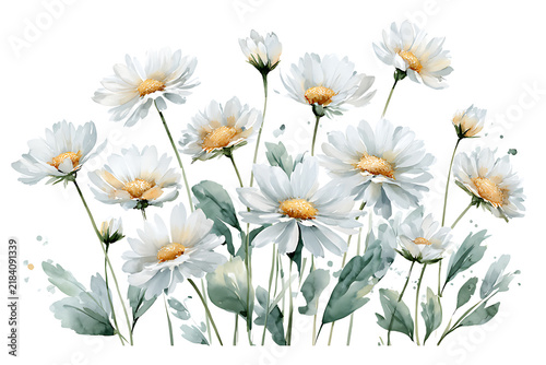 Watercolor illustration of a beautiful bouquet of white daisy flowers isolated on transparent background