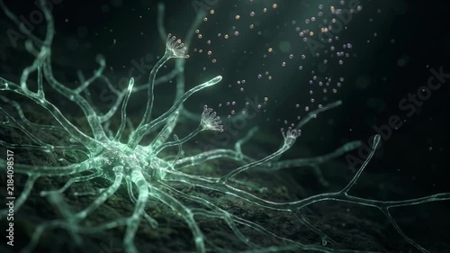 Bioluminescent Mycelia Spreading Spores in Microscopic World