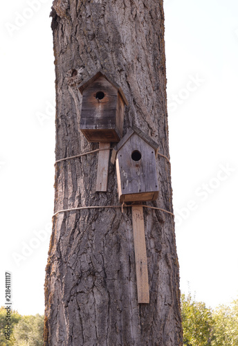Two birdhouses tied to a tree trunk
