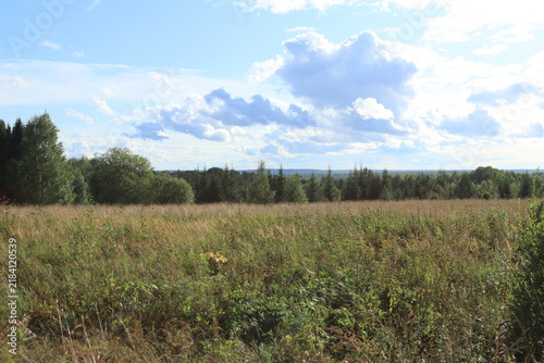 meadow and blue sky