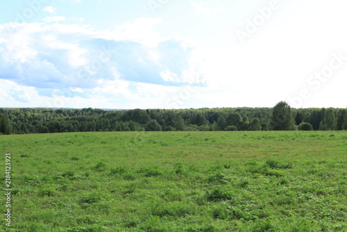 green field and blue sky