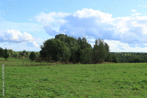 green field and blue sky