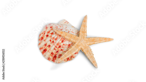 Bild auf Leinwand Starfish and bivalve seashell isolated on white background