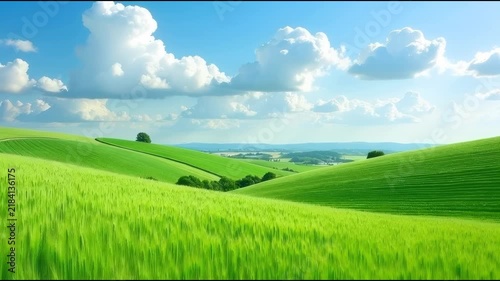 A field of green grass under a bright blue sky