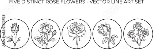 Set of Five Distinct Rose Flowers in Vector Line Art Style