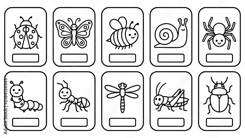 Fototapeta premium Spring garden insects bold outline flashcard set for kids coloring books