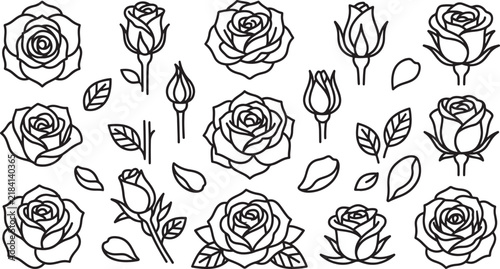 Set of hand drawn rose flowers and buds, black and white floral line art vector illustration