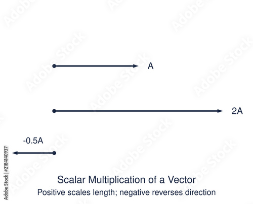 Obraz na plátně Scalar multiplication of a vector diagram