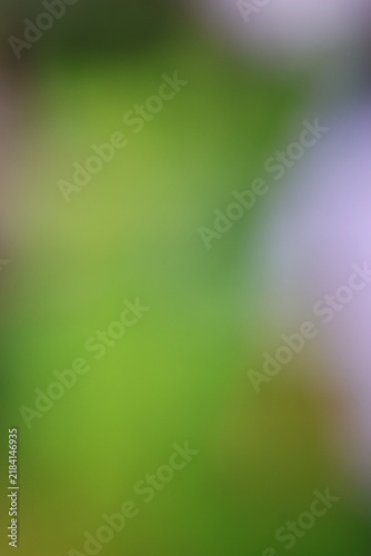 Abstract green and purple gradient background with soft light and smooth bokeh texture