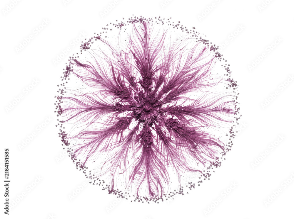 Fototapeta premium Floral pattern made of purple powder and golden stars isolated on transparent background for decorative projects