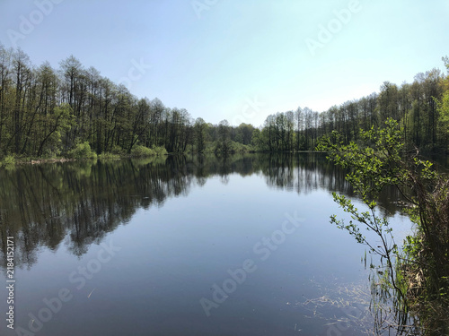 Принти на полотні Calm lake in the forest with perfect symmetric reflection of green trees in the water
