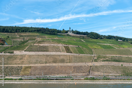 Blick auf das Niederwalddenkmal und Weinberge am Rhein