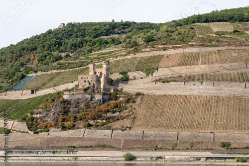 Der Mäuseturm bei Bingen am Rhein mit Weinbergen und Burgruine Ehrenfels