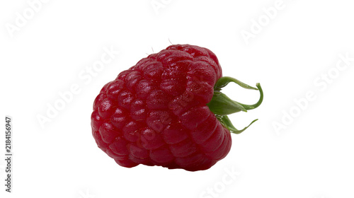 Foto Isolated single fresh ripe red raspberry with green stem, healthy organic summer