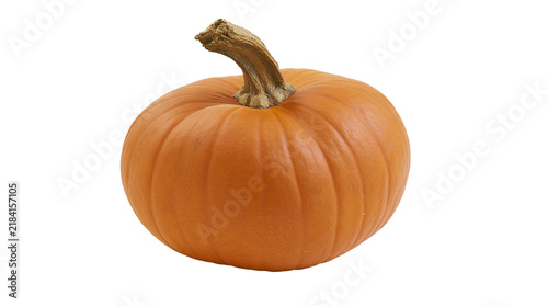 Bild auf Leinwand Isolated beautiful autumnal orange pumpkin with natural stem perfect for fall ha