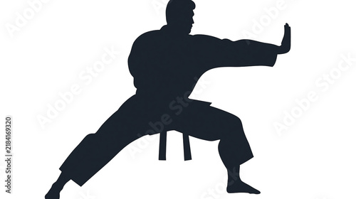 Fotografía Isolated male karateka silhouette practicing traditional martial art kata in dynamic pose