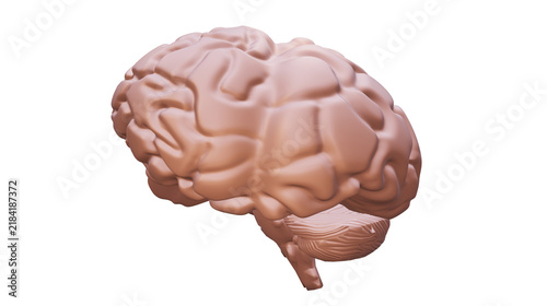 Fotografie Realistic three dimensional human brain isolated on transparent background, deta