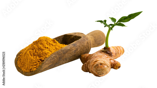 Isolated turmeric root with green sprout and vibrant yellow powder in wooden scoop