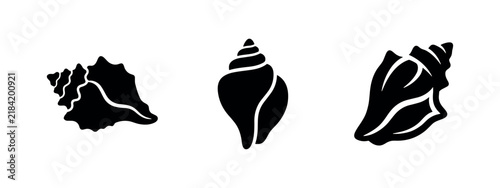 Bild auf Leinwand Sea shell conch spiral silhouette icons
