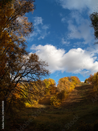 Colorful autumn trees on the hill, blue sky.