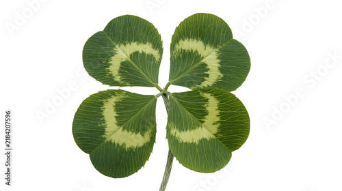 Quadro su tela Isolated vibrant green four-leaf clover, a natural symbol of luck, fortune, and