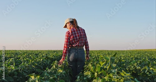 Female farmer examining soybean plants walking in an agricultural cultivated field