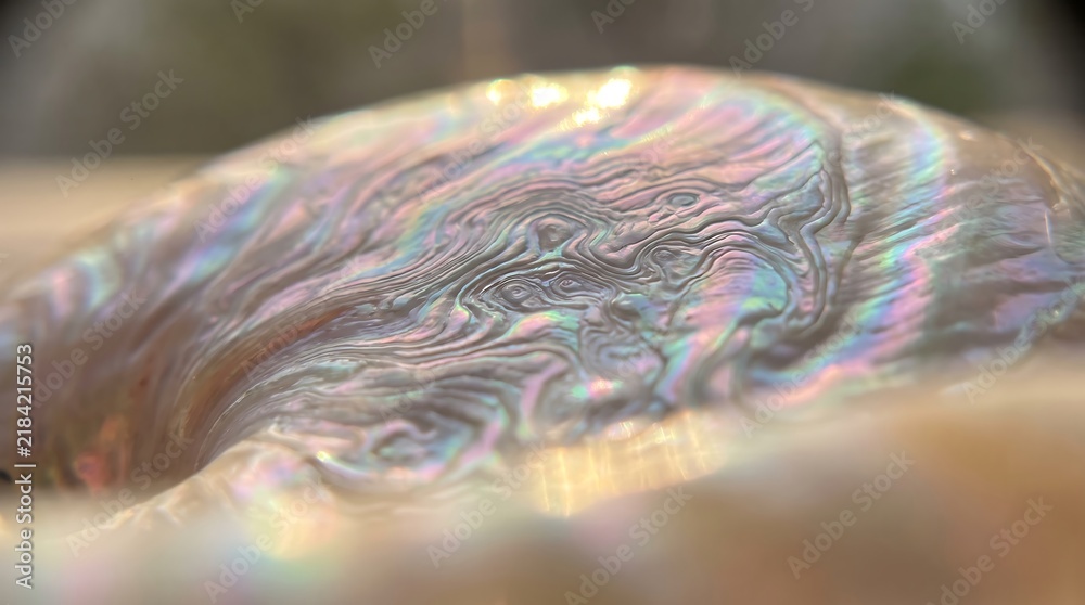 Obraz premium Iridescent Macro Texture of a Natural Abalone Shell Surface with Pearlescent Luster