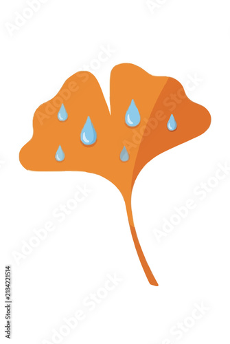 Vibrant orange ginkgo biloba leaf vector illustration with translucent blue raindrops resting on autumn foliage, minimalist flat design botanical icon perfect for seasonal nature and weather concepts
