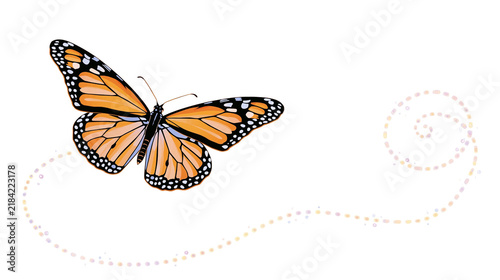 Isolated monarch butterfly gracefully flying and leaving a delicate sparkling dotted spiral trail