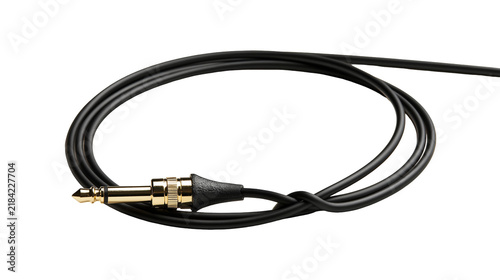 Canvas Print Isolated black audio cable with gold-plated 1/4 inch jack connector, coiled for sound and music