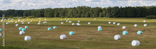 The field is littered with bales of hay wrapped in plastic packaging. A protective film for hay. The banner.