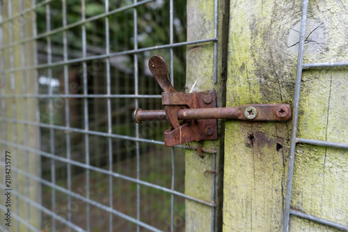 Wide shot of a heavily rusted iron sliding bolt gate latch mounted on a weathered, mossy wooden post. The lock mechanism secures a large galvanized wire mesh grid fence on a rural farm property.