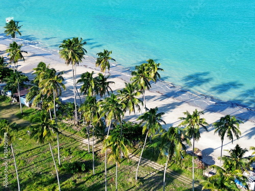 Aerial view  by drone, Ipioca beach near to Macceio in Brasil, coconut álm trees plantation in from of white sand beach 