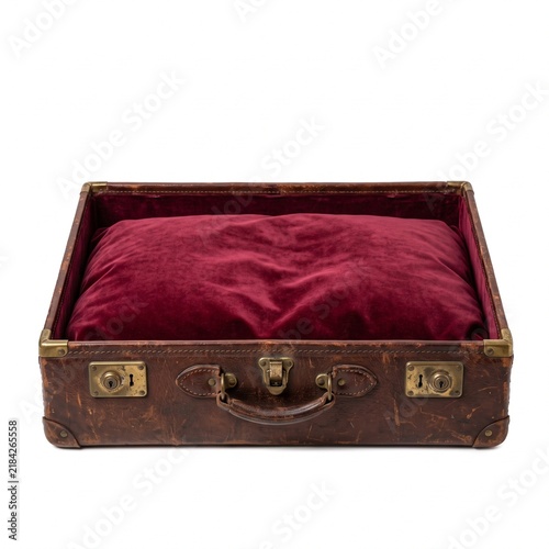 Vintage Suitcase Pet Bed with Burgundy Cushion  