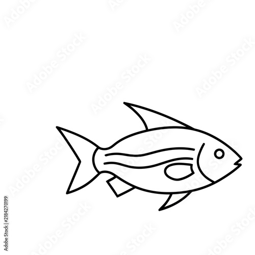 Outline of a fish
